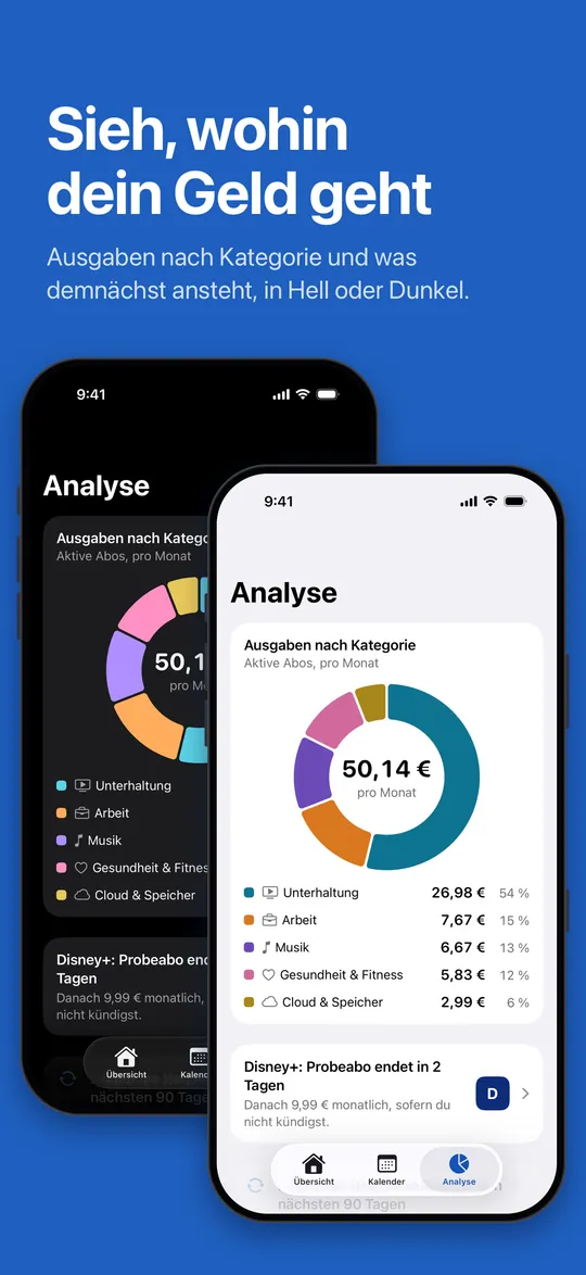 Analyse: Ausgaben nach Kategorie