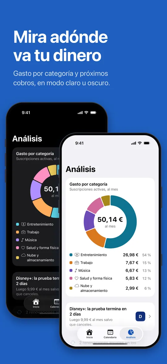 Análisis: gasto por categoría
