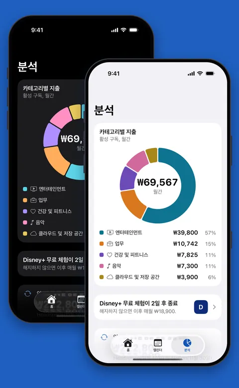 라이트 및 다크 모드에서 카테고리별 지출이 표시된 Renew 분석