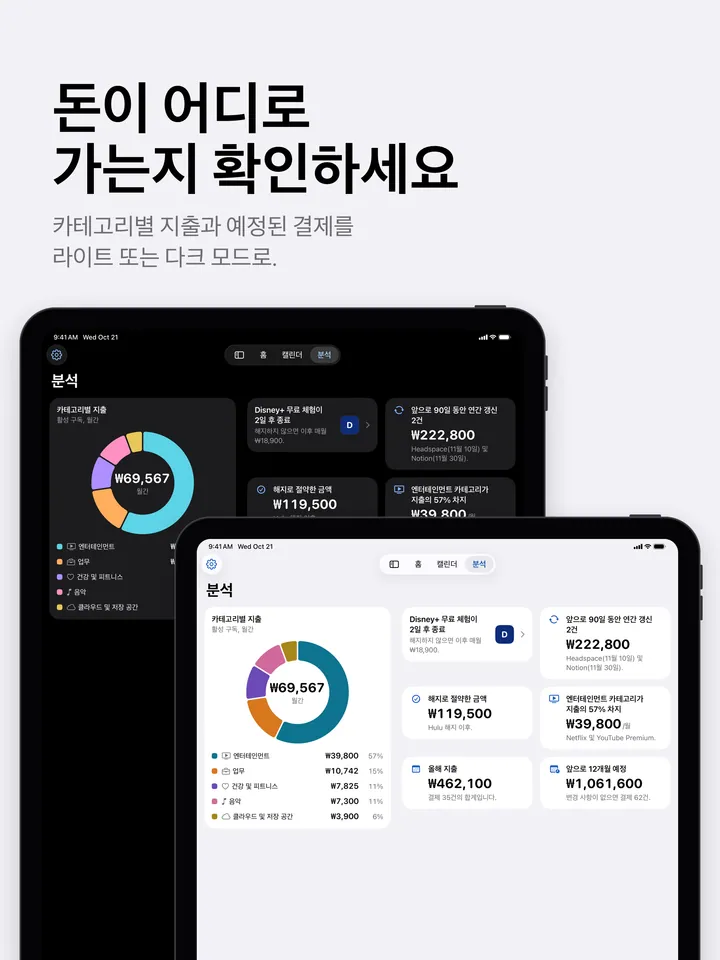 라이트 및 다크 모드의 iPad 분석