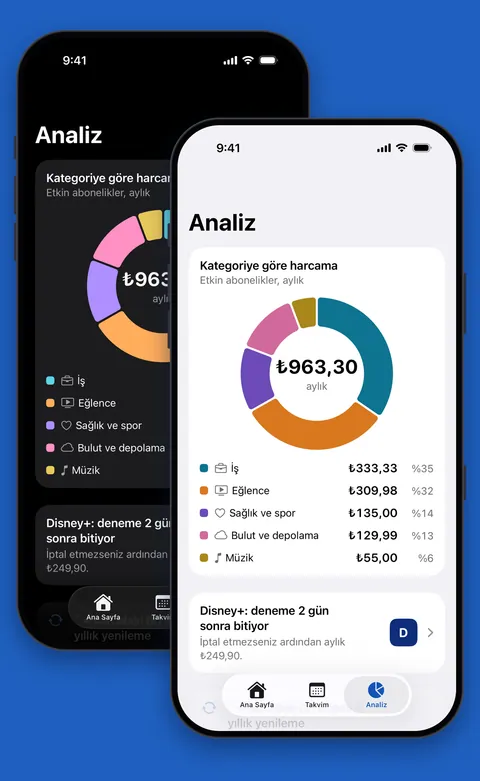 Açık ve koyu modda kategoriye göre harcamayı gösteren Renew Analiz ekranı