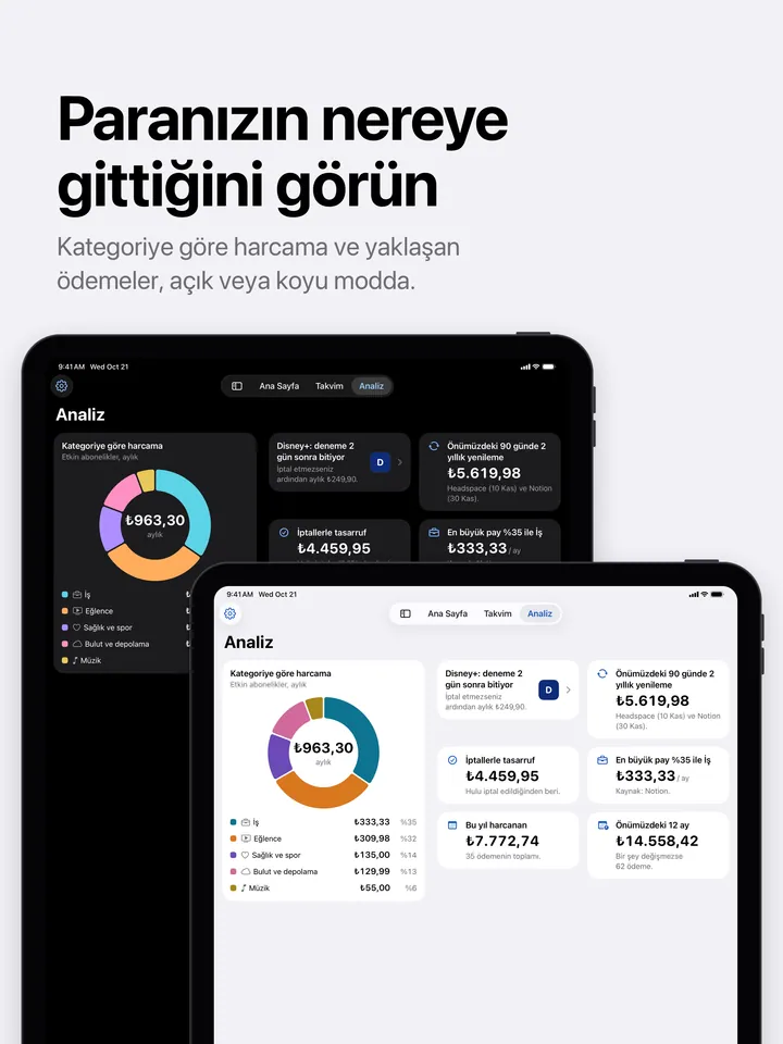 iPad'de açık ve koyu modda Analiz