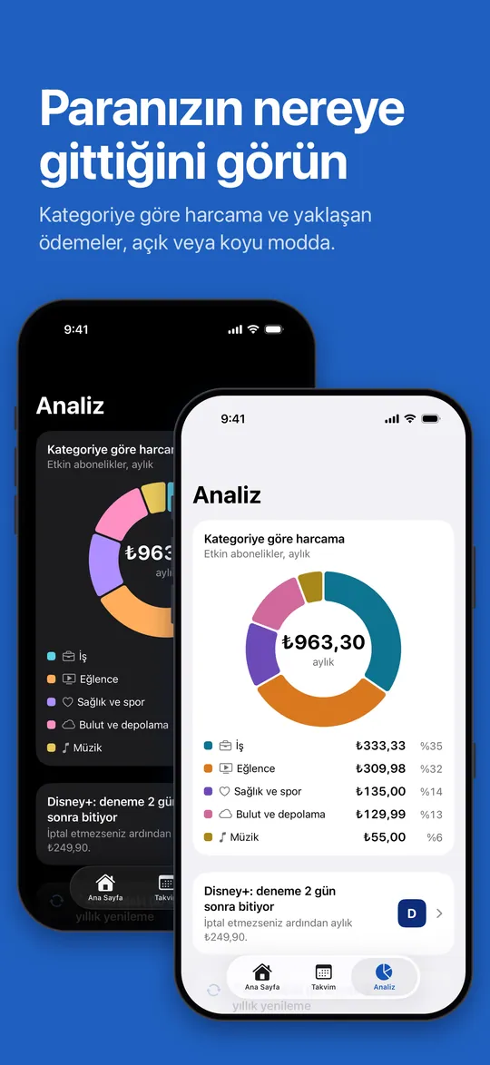 Analiz: kategoriye göre harcama