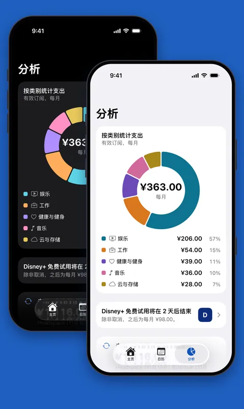 浅色和深色模式下 Renew 的“分析”，按类别显示支出