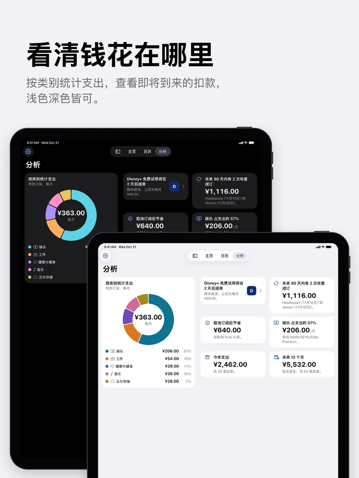浅色和深色模式下 iPad 上的分析
